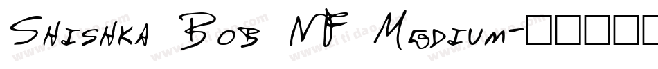 Shishka Bob NF Medium字体转换